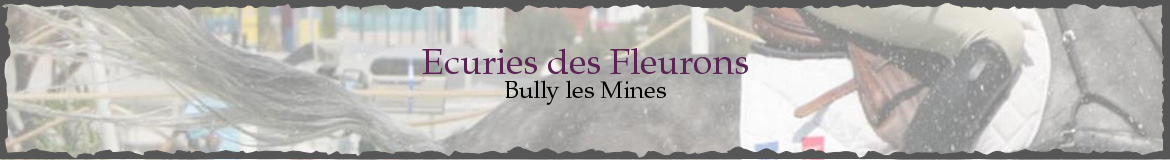 Ecuries des Fleurons